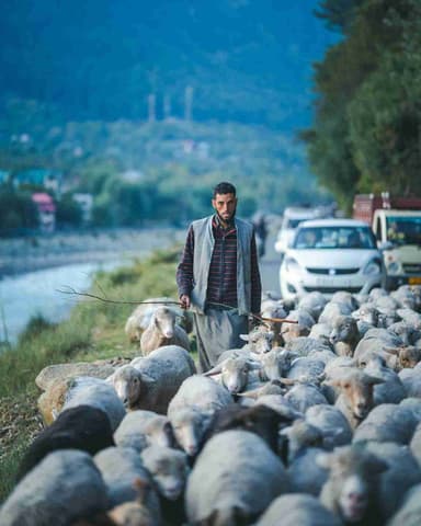 shepherd valley scenic beauty