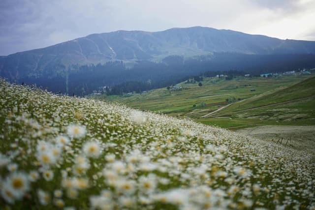 Doodhpathri: Valley of Milk in Kashmir